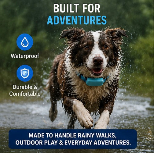 Never Lose Sight of the One You Love – Smart GPS Pet Tracker