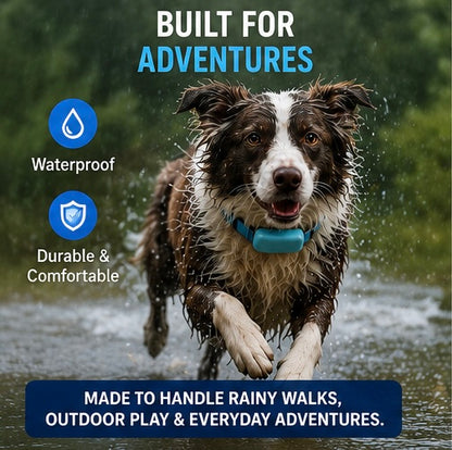 Never Lose Sight of the One You Love – Smart GPS Pet Tracker