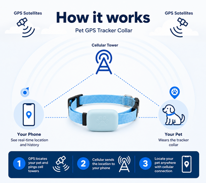 Never Lose Sight of the One You Love – Smart GPS Pet Tracker